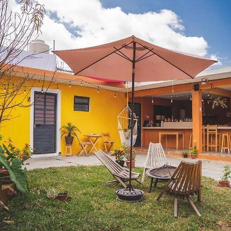 San Cristóbal de Las Casas Casa Sofia Guest House מראה חיצוני תמונה