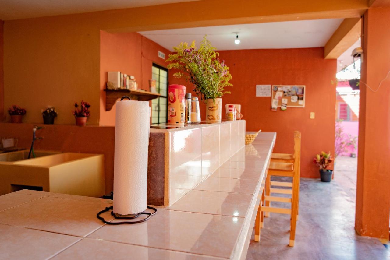 San Cristóbal de Las Casas Casa Sofia Guest House מראה חיצוני תמונה