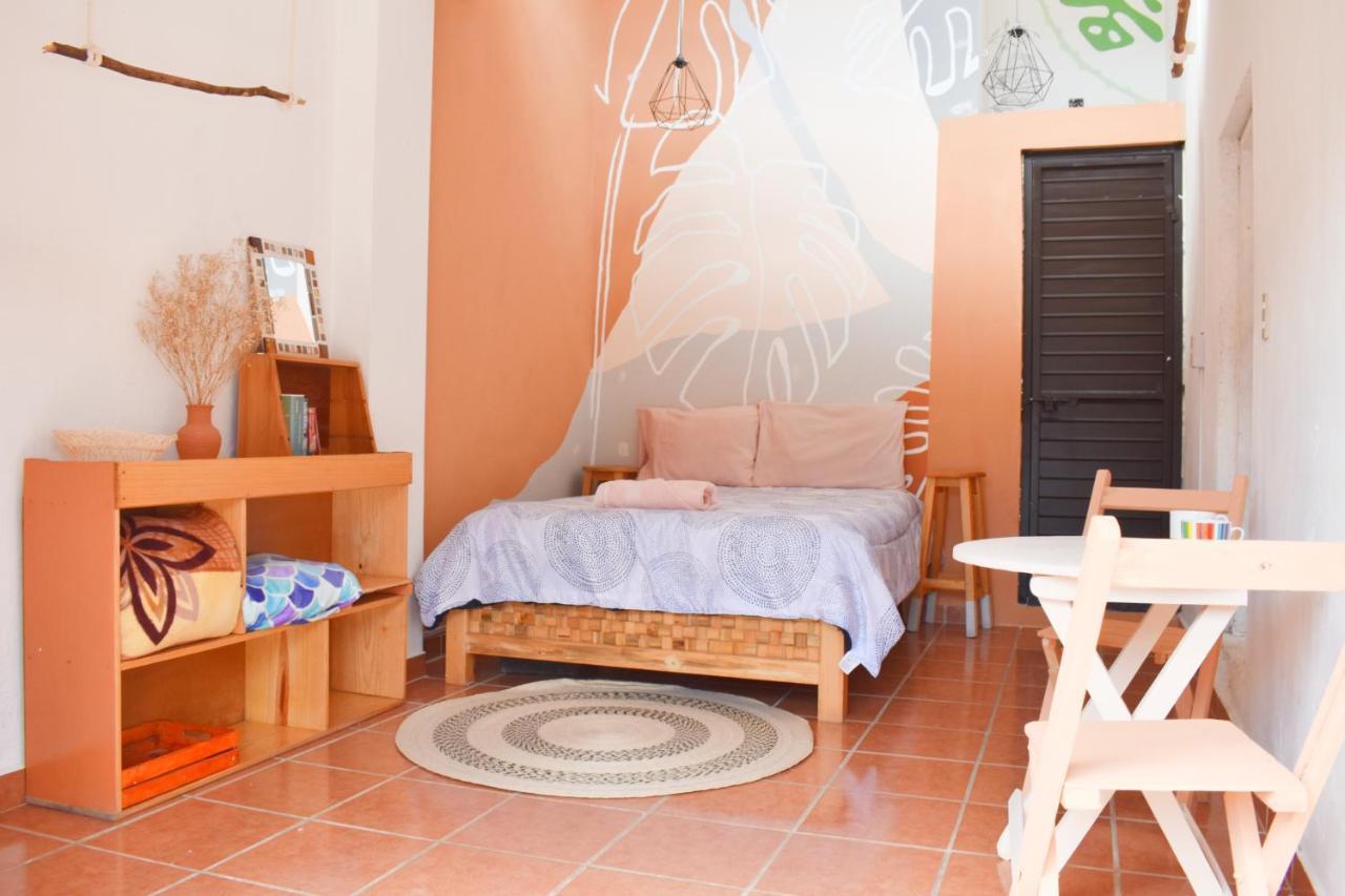 San Cristóbal de Las Casas Casa Sofia Guest House מראה חיצוני תמונה