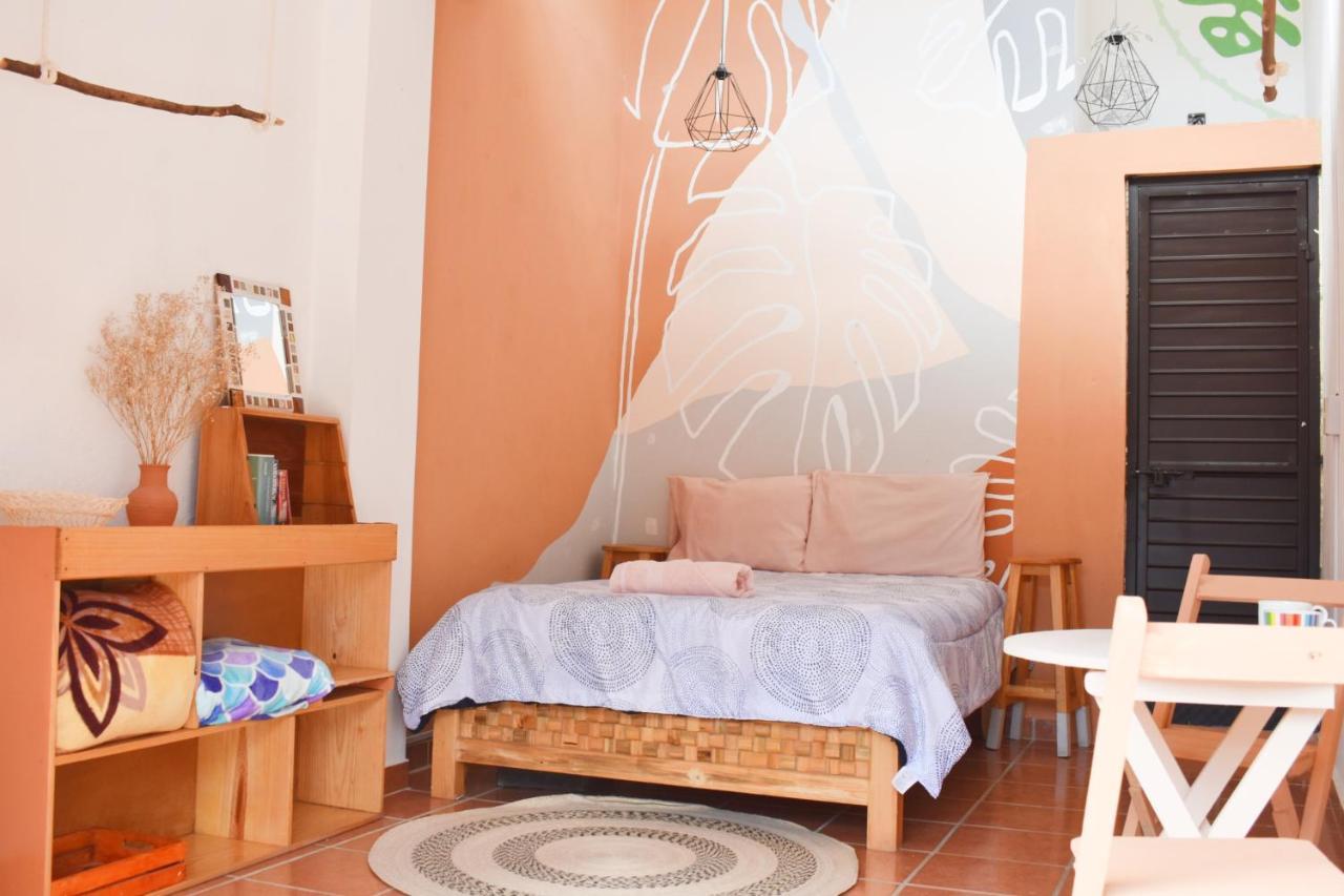 San Cristóbal de Las Casas Casa Sofia Guest House מראה חיצוני תמונה