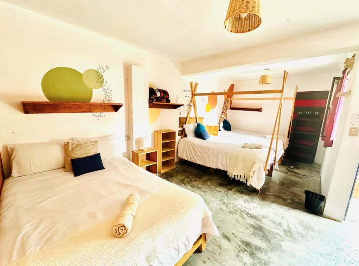 San Cristóbal de Las Casas Casa Sofia Guest House מראה חיצוני תמונה